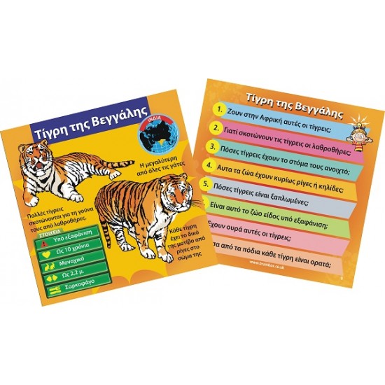 Brain Box- Ζώα- Παιχνίδι για εξάσκηση μυαλού μνήμης