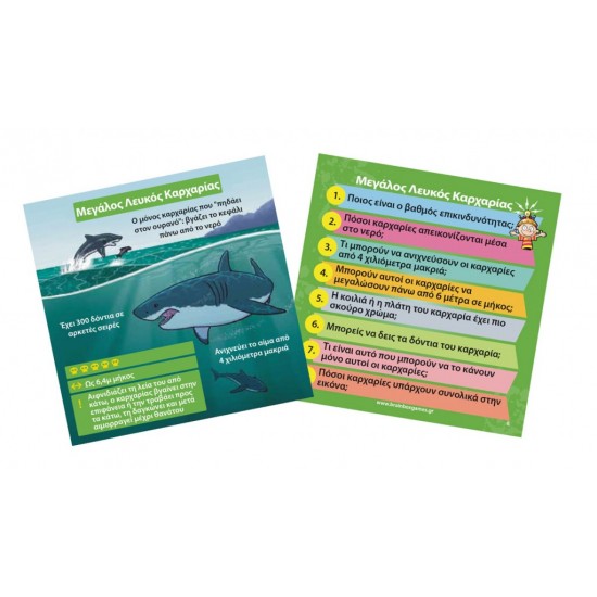 Brain Box- Θηρευτές - Παιχνίδι για εξάσκηση μυαλού μνήμης