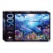 Puzzle Mindbogglers Artisan Jigsaw: C Lassen Day of the Dolphins