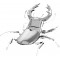 Fascinations Μεταλλική Φιγούρα Μοντελισμού Stag Beetle 7.3x5.8x1.7εκ. MMS071