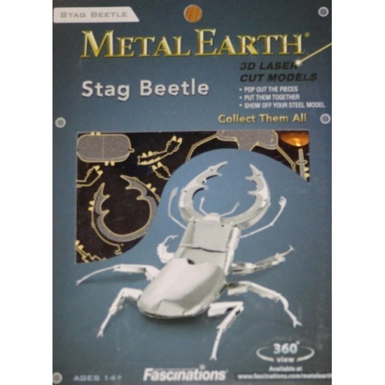 Fascinations Μεταλλική Φιγούρα Μοντελισμού Stag Beetle 7.3x5.8x1.7εκ. MMS071