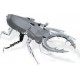 Fascinations Μεταλλική Φιγούρα Μοντελισμού Stag Beetle 7.3x5.8x1.7εκ. MMS071