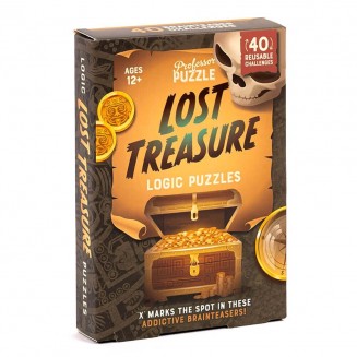 Professor Puzzle Lost Treasure Γρίφος BT-25