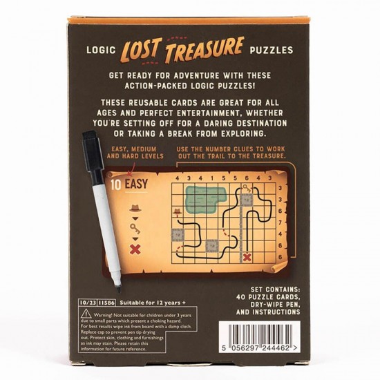 Professor Puzzle Lost Treasure Γρίφος BT-25